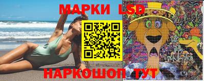 гидропоника Можайск