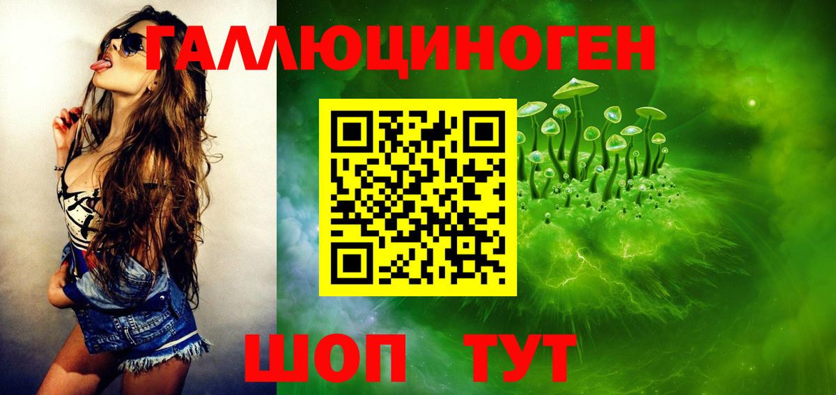 Псилоцибиновые грибы Psilocybe  Вход с VPN  Топки 