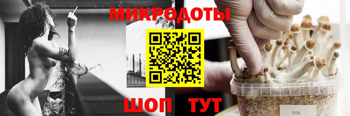 Псилоцибиновые грибы GOLDEN TEACHER Топки